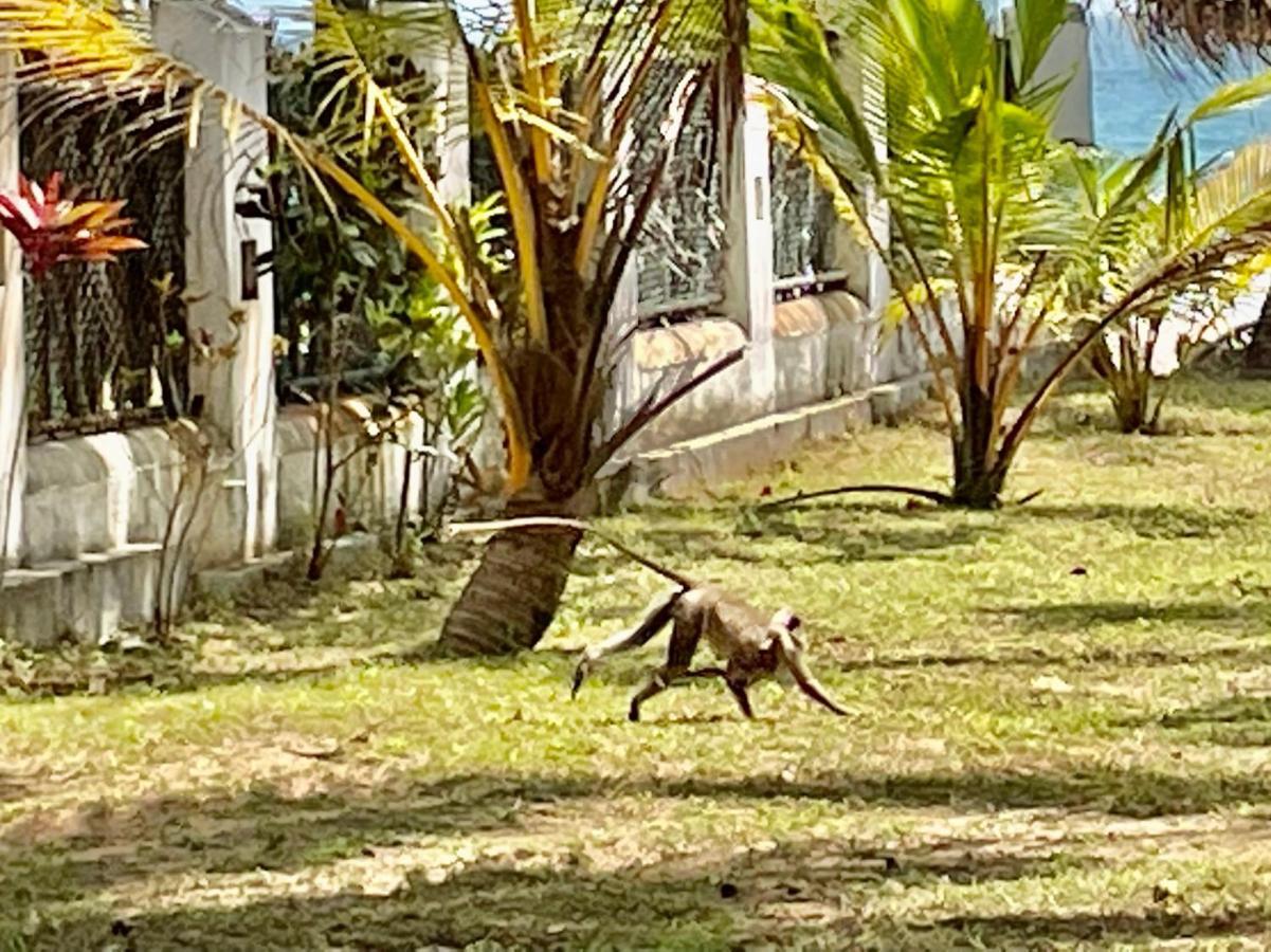 Isana Beach House Tangalle Kültér fotó